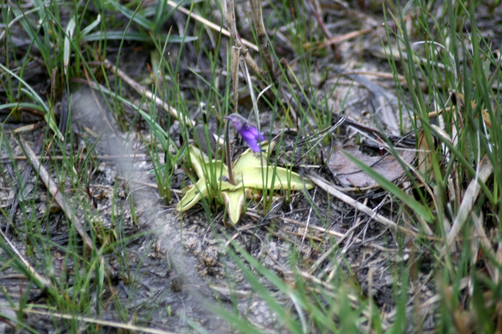 VWG vogelreis Oost Duitsland mei 2010 546